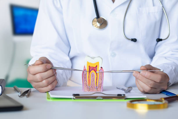 Best Emergency Root Canal Treatment in Whiteville, NC